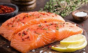 Ikan Salmon Harga Nya Berapa